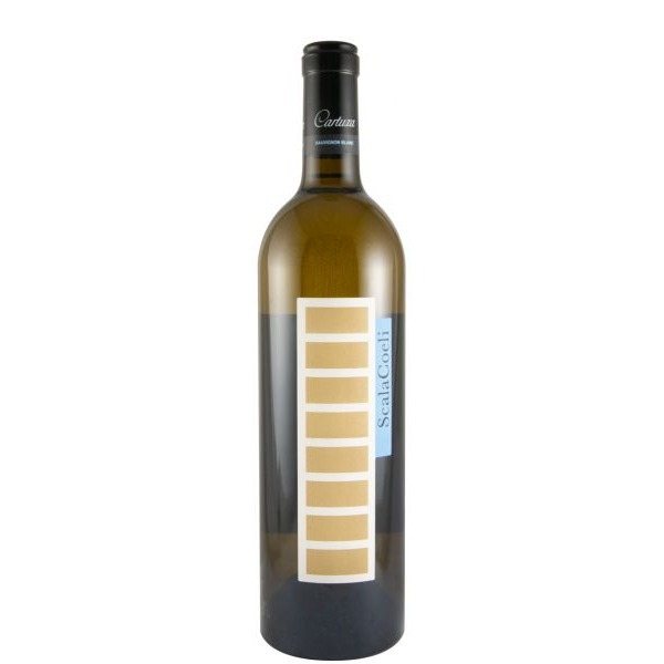 Scala Coeli Sauvignon Blanc branco 2022 – Vinho Branco do Alentejo