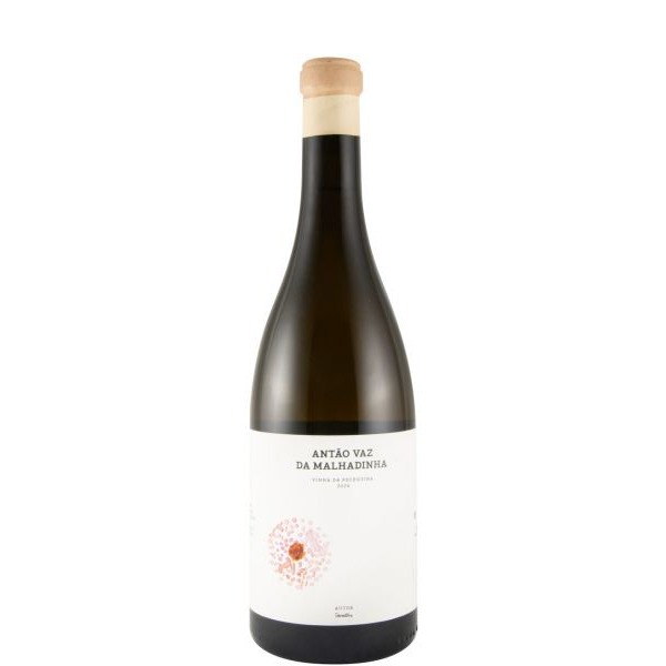 Antão Vaz da Malhadinha Vinha da Peceguina biológico branco 2024 – Vinho Branco do Alentejo