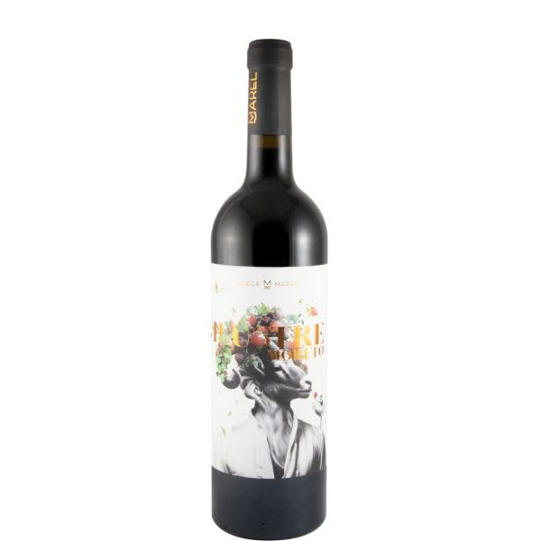 Marel Ilustre Moreto tinto 2024 – Vinho Tinto do Alentejo