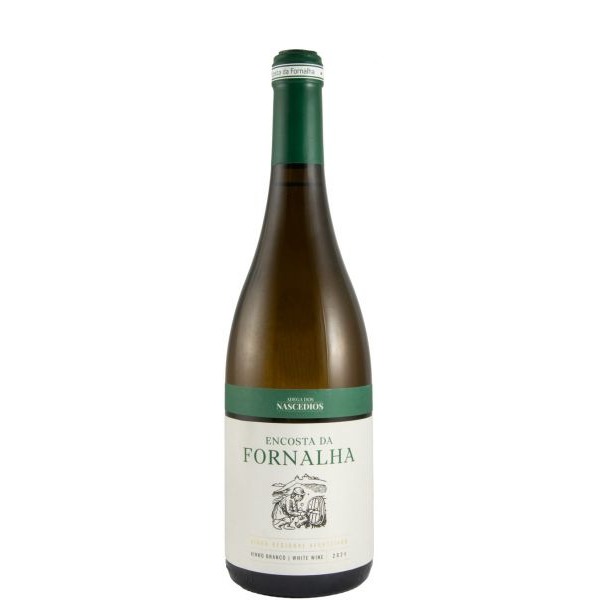 Encosta da Fornalha branco 2024 – Vinho Branco do Alentejo