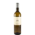 Susana Esteban Aventura branco 2023