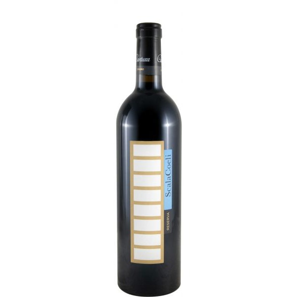 Scala Coeli Sousão Reserva tinto 2020 – Vinho Tinto do Alentejo